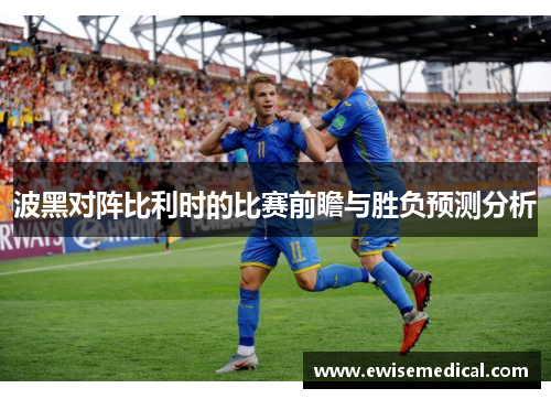 波黑对阵比利时的比赛前瞻与胜负预测分析